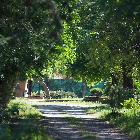 La Villa Delle Rose Rom Eksteriør billede
